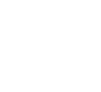 EU Logo